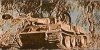 Panzer VI Tiger I (20)